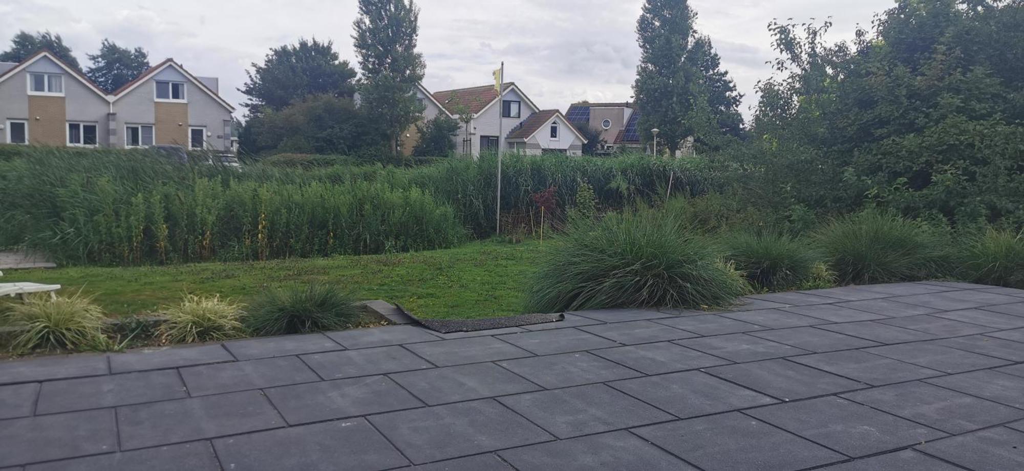 Prachtige Vakantievilla Aan Ijsselmeer Makkum Exterior foto